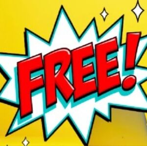 Special Offer  Bogo Gold and White Halloween /Masquerade Maskand New Year's